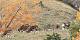  Mouflons dans le Vallon de Fontouse (c) Monique EYMARD
600*303 pixels (33223 octets)(i4930)