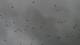 un vol de choucas avant l'orage. (c) Christophe Antoine
1100*615 pixels (20083 octets)(i6305)