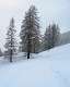  le sentier des Amoureux par la chapelle sous la neige. (c) Christophe ANTOINE
405*500 pixels (21605 octets)(i4227)